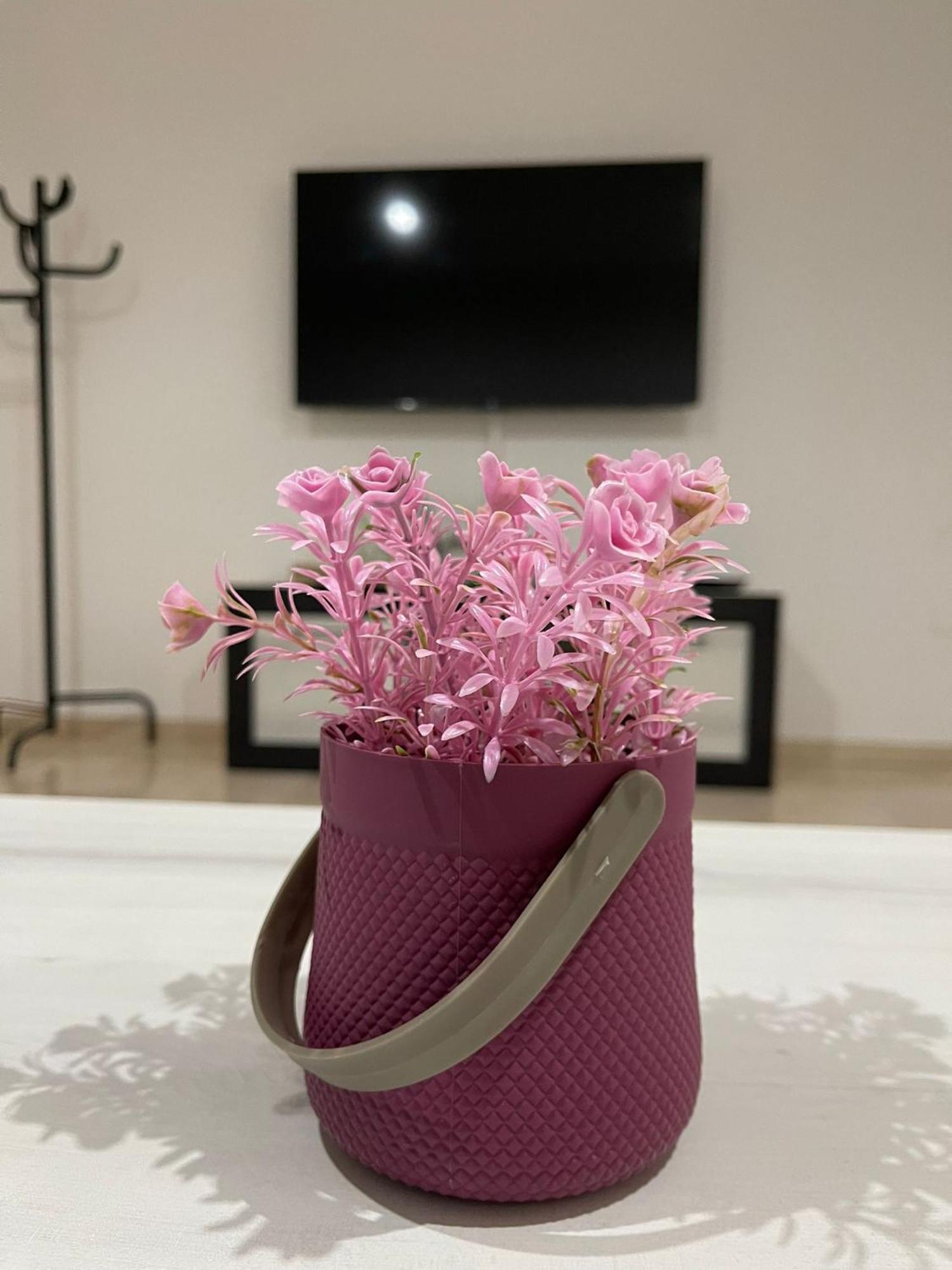 Apartamentos Cayla 산루카데바라메다 외부 사진